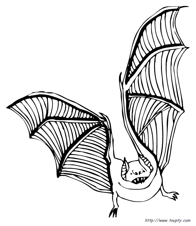 Bat Printable Coloring - Toupty.com