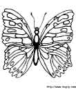 1 - free butterfly printable coloring