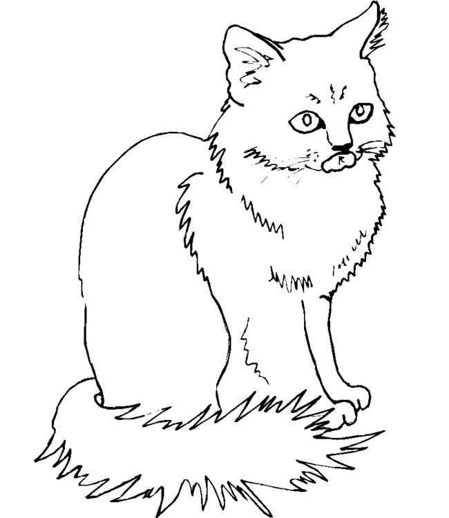 cat colourings to print