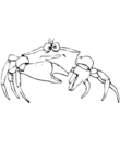 crab printable coloring
