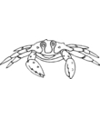 free crab printable coloring