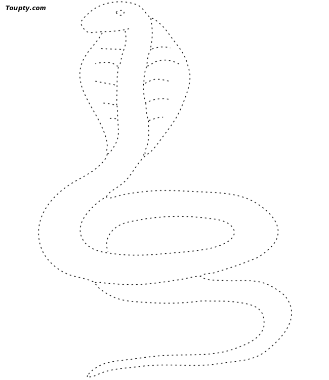 printable drawing of snakes