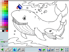 coloring book Animals of the sea