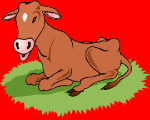 online sliding puzzle of the cow