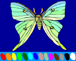 1 - butterfly online coloring 4 kids