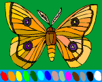 2 - butterfly online coloring 4 kids