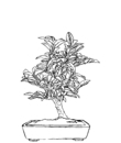 free bonsai printable coloring