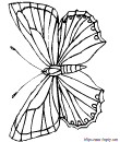10 - free butterfly printable coloring