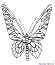 11 - free butterfly printable coloring
