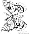 4 - free butterfly printable coloring