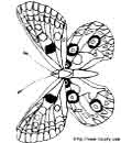 6 - free butterfly printable coloring