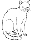 10 - cat printable coloring