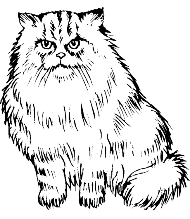 cat-colourings-to-print