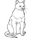 7 - cat printable coloring