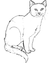 9 - cat printable coloring