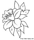 5 - flowers printable coloring