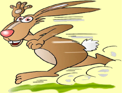 on line puzzle - rabbit runner